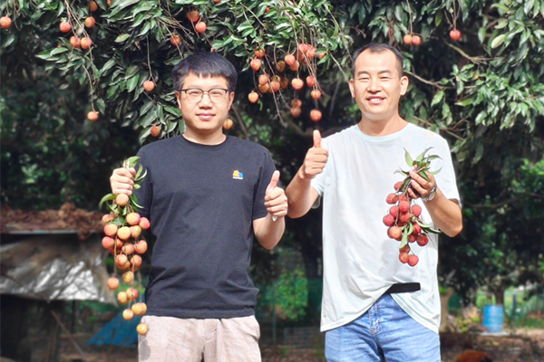 “情系莞深、共品鲜荔”---东莞莞深主题团建活动成功举办