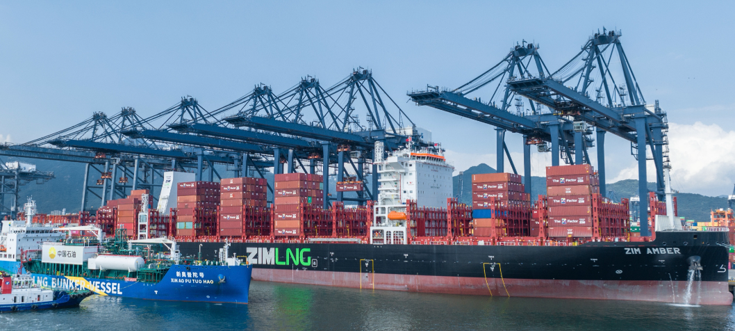 1772506231493619.png 1772506231493619.png